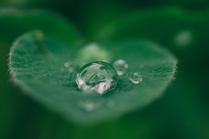 5 Cara Menghidrasi Kulit pada Wajah yang Harus Dipahami