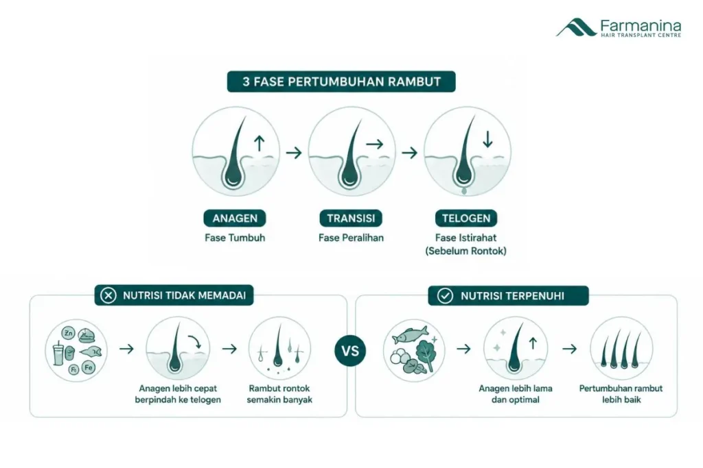 Hubungan antara nutrisi makanan dan pertumbuhan rambut