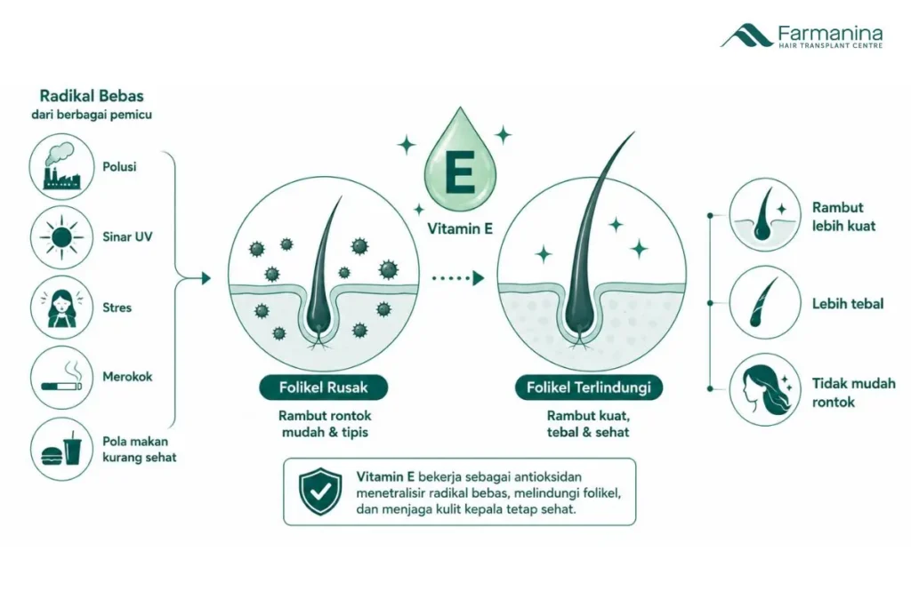 Peran antioksidan vitamin E