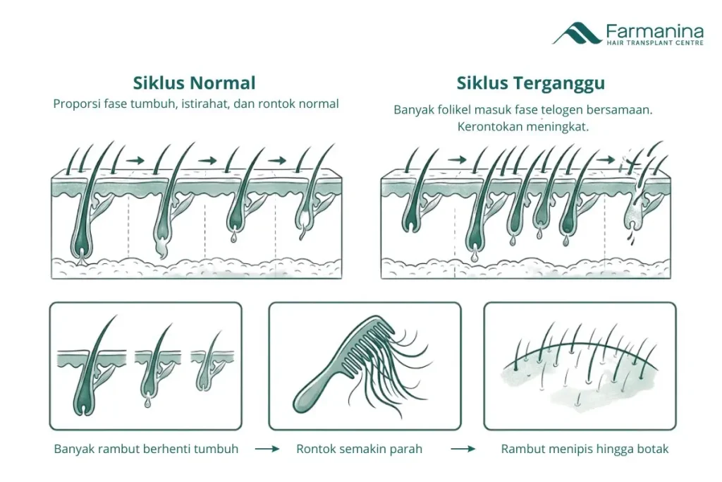 Hubungan antara siklus pertumbuhan rambut yang terganggu dan kerontokan